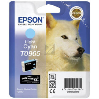Epson Stylus Photo R 2880