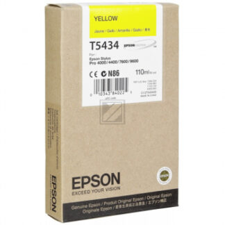 Epson Stylus Pro 4000/9600